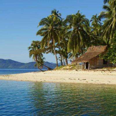 彩神手机app下载