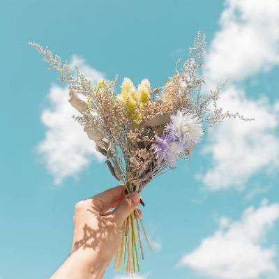 彩神手机app下载