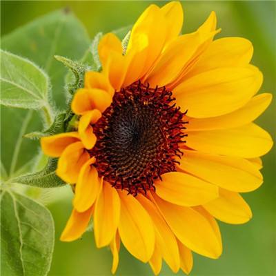 彩神手机app下载